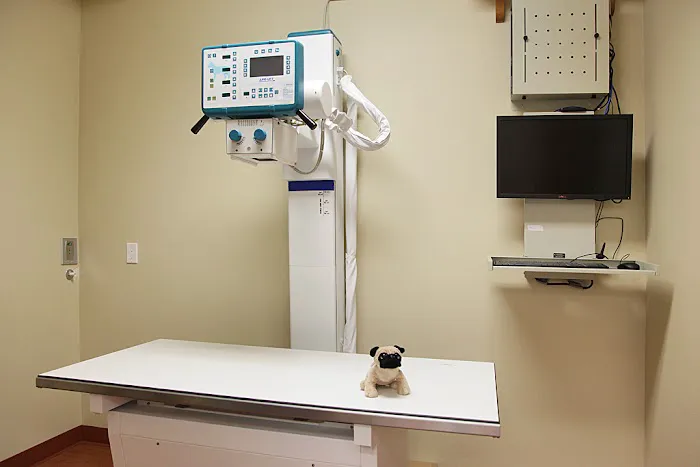 Animal Hospital By the Sea: Dieden Jean DVM Picture 5