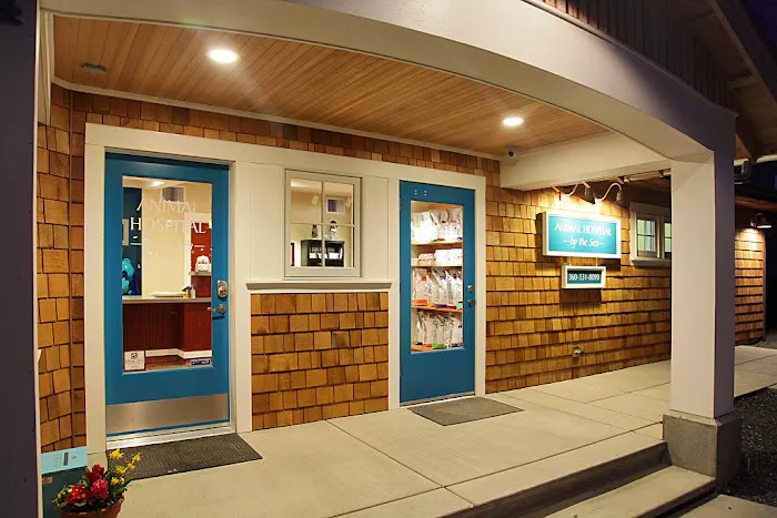 Animal Hospital By the Sea: Dieden Jean DVM Picture 8