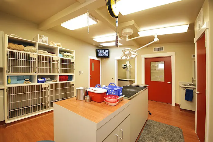 Animal Hospital By the Sea: Dieden Jean DVM Picture 7