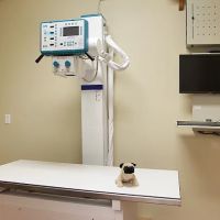 Animal Hospital By the Sea ico