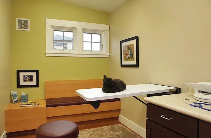 Animal Hospital By the Sea Picture 5