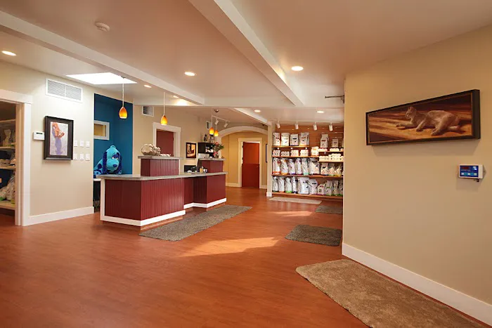 Animal Hospital By the Sea Picture 4