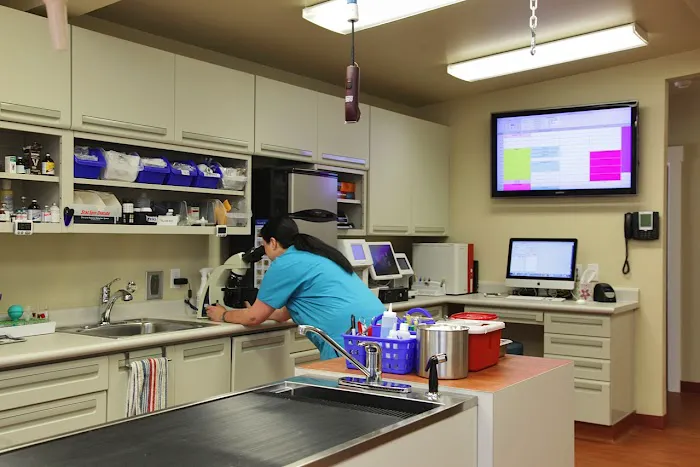Animal Hospital By the Sea Picture 9
