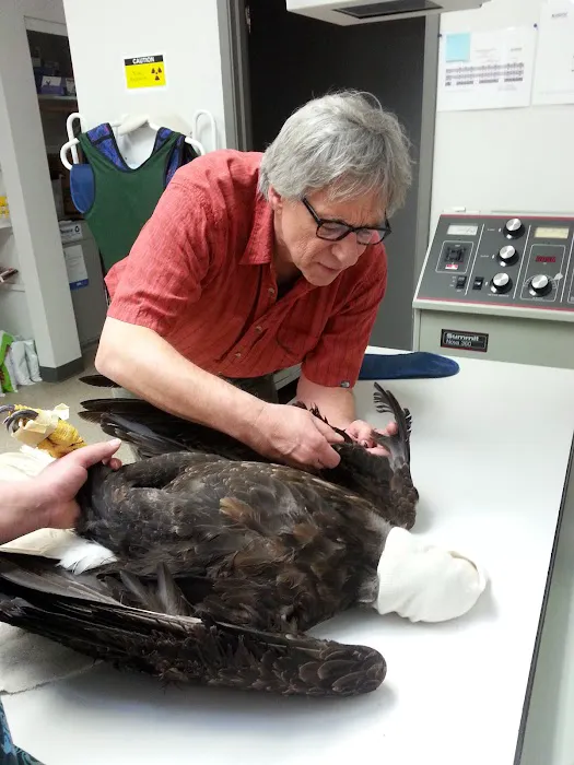 Useless Bay Animal Clinic Picture 2