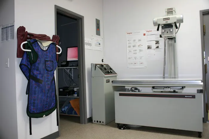 Useless Bay Animal Clinic Picture 8