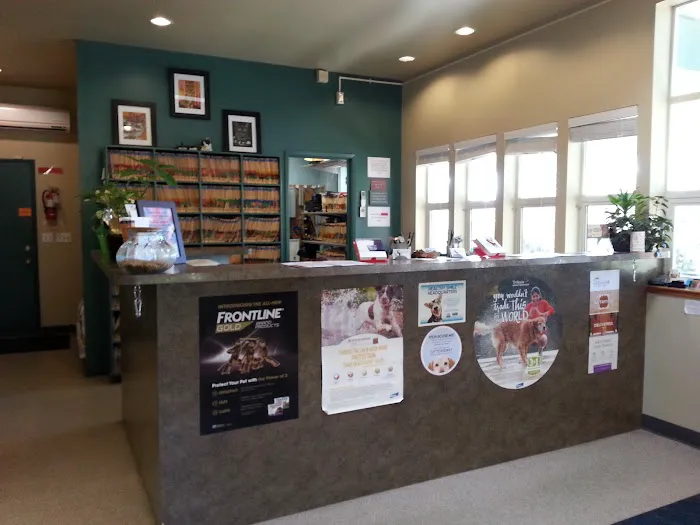 Useless Bay Animal Clinic Picture 6