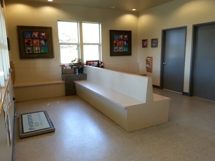 Useless Bay Animal Clinic Picture 9