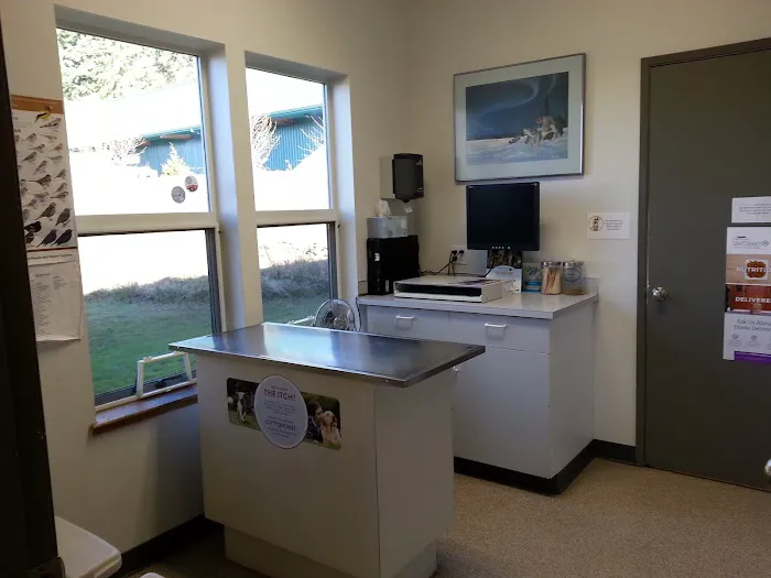 Useless Bay Animal Clinic Picture 10