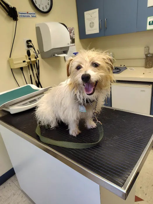 Fair Isle Animal Clinic PS Picture 3
