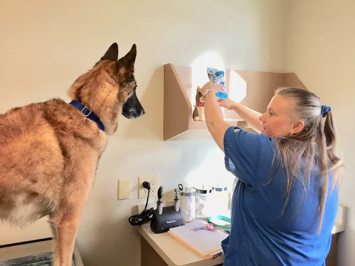 Port Orchard Animal Clinic, Dr. Liz Oien DVM Picture 4