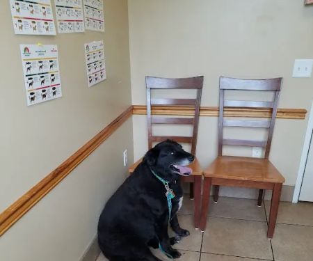 Belltowne Veterinary Center