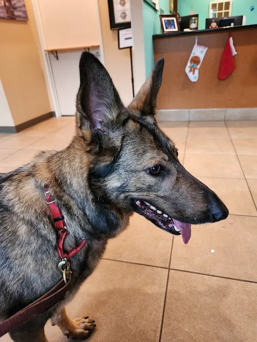Belltowne Veterinary Center Picture 5