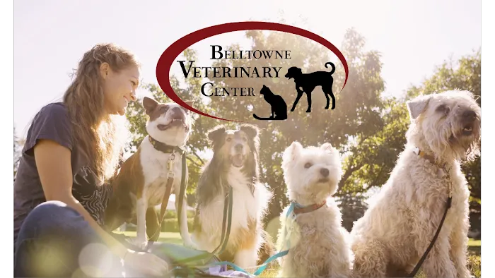 Belltowne Veterinary Center Picture 10