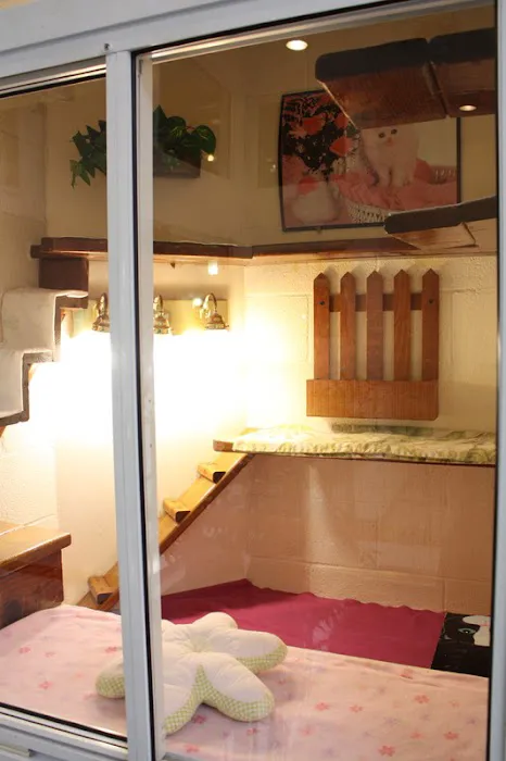 Newport Center Animal Hospital & Pet Hotel Suites Picture 2