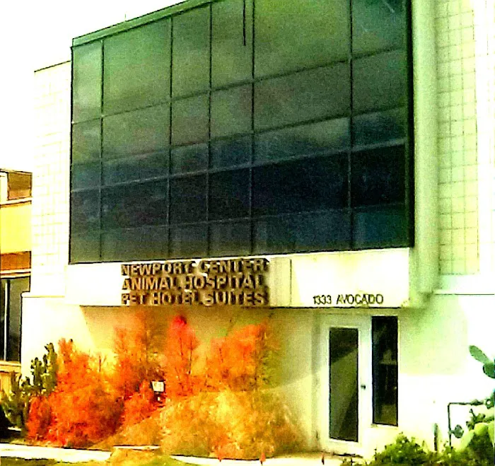 Newport Center Animal Hospital & Pet Hotel Suites Picture 6
