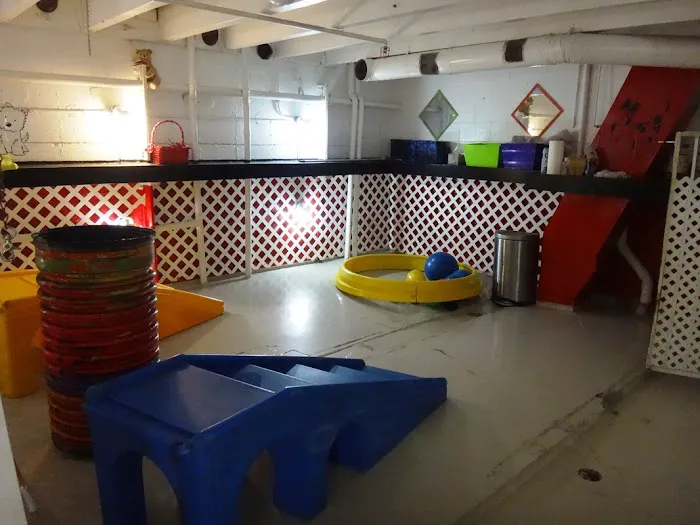 Newport Center Animal Hospital & Pet Hotel Suites Picture 5