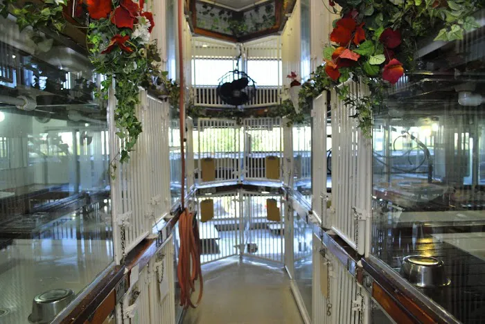 Newport Center Animal Hospital & Pet Hotel Suites Picture 9