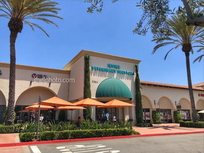 VCA Irvine North Park Animal Hospital Picture 2