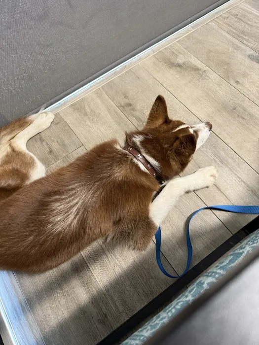 Culver Pet Clinic Picture 2