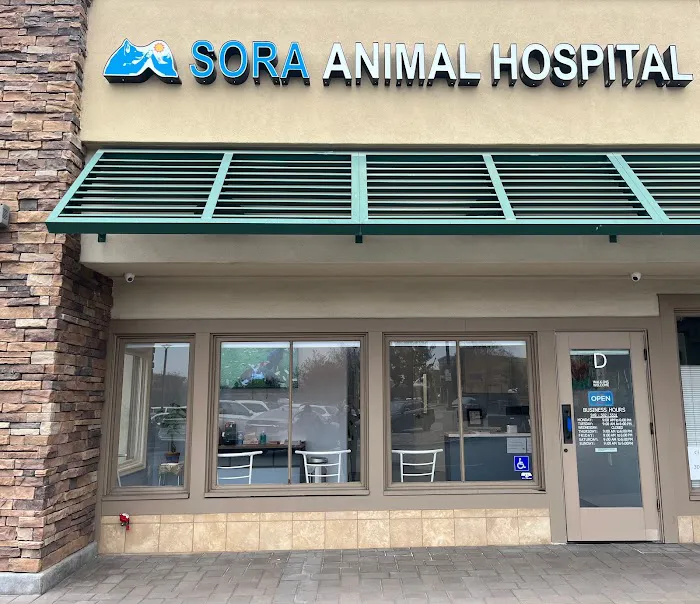Sora Animal Hospital Picture 1