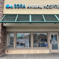 Sora Animal Hospital ico