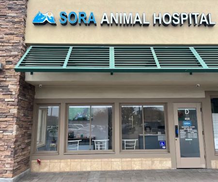 Sora Animal Hospital