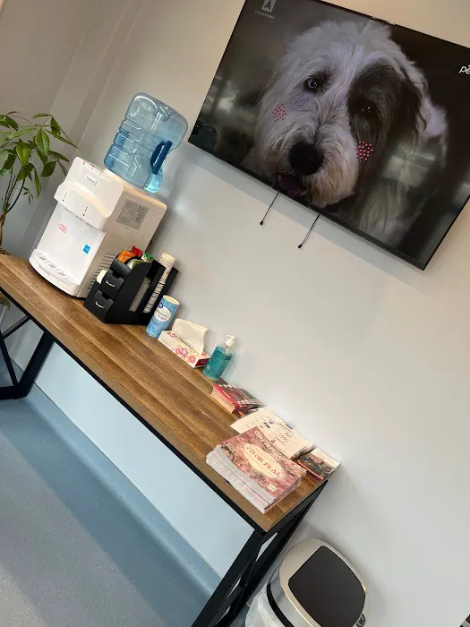 Sora Animal Hospital Picture 8