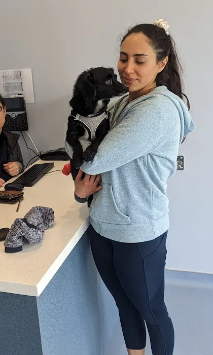 Sora Animal Hospital Picture 6