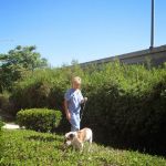 Animal Hospital of Irvine