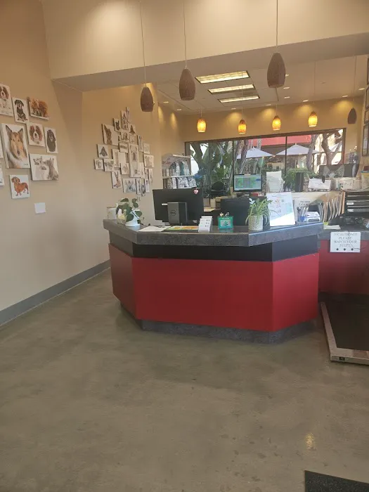 Newport Animal Hospital Picture 1