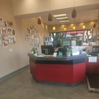 Newport Animal Hospital ico