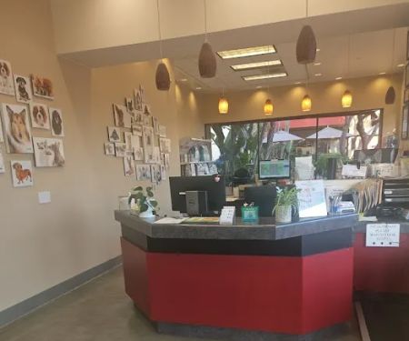 Newport Animal Hospital