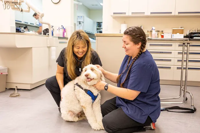 Newport Animal Hospital Picture 7