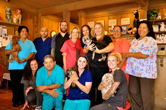Corona del Mar Animal Hospital, A Thrive Pet Healthcare Partner Picture 4
