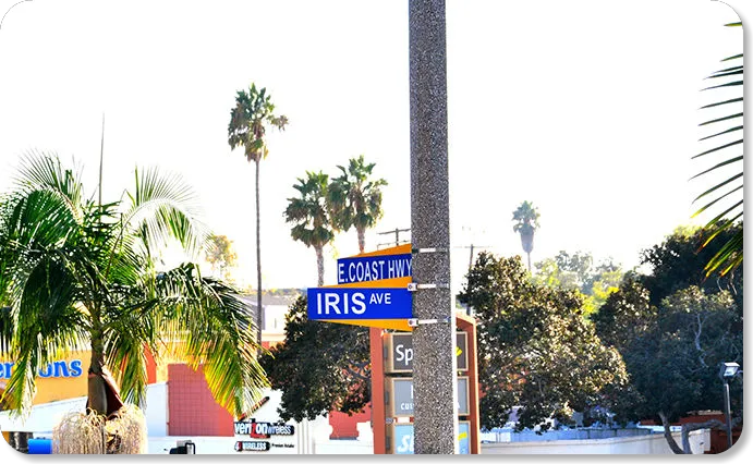 Corona del Mar Animal Hospital, A Thrive Pet Healthcare Partner Picture 6