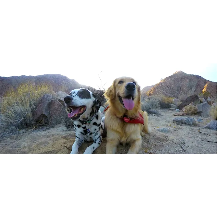 Corona del Mar Animal Hospital, A Thrive Pet Healthcare Partner Picture 7