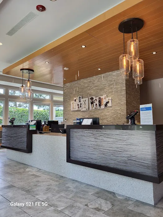 VCA Irvine University Park Animal Hospital Picture 2
