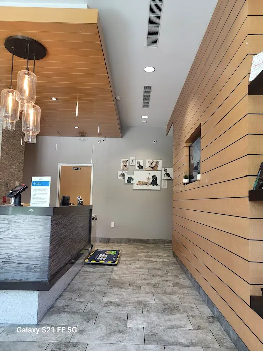 VCA Irvine University Park Animal Hospital Picture 4