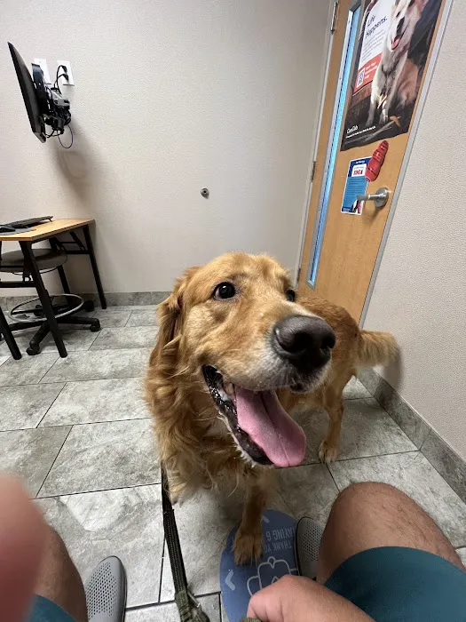 VCA Irvine University Park Animal Hospital Picture 9