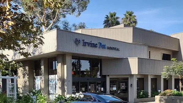 Irvine Pet Hospital Picture 9