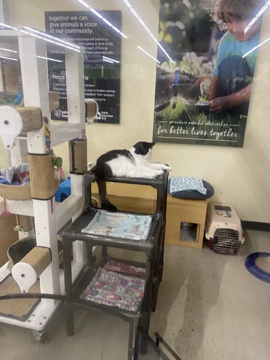 Vetco Total Care Animal Hospital Picture 2