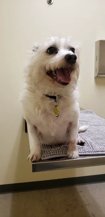 Vetco Total Care Animal Hospital Picture 5