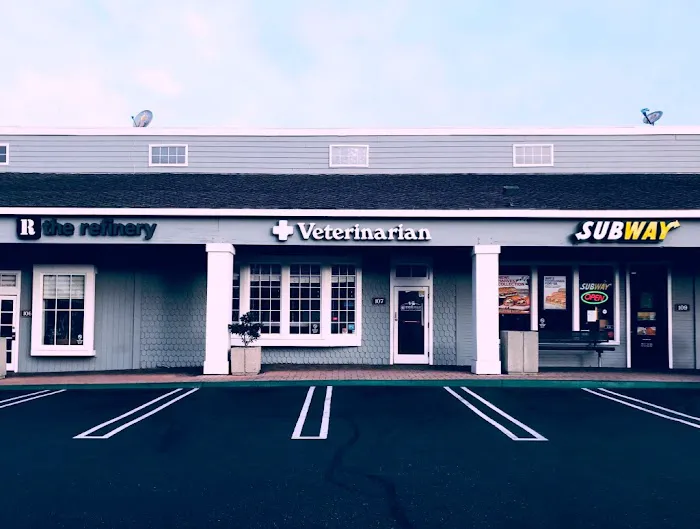 Irvine Valley Veterinary Hospital Picture 5