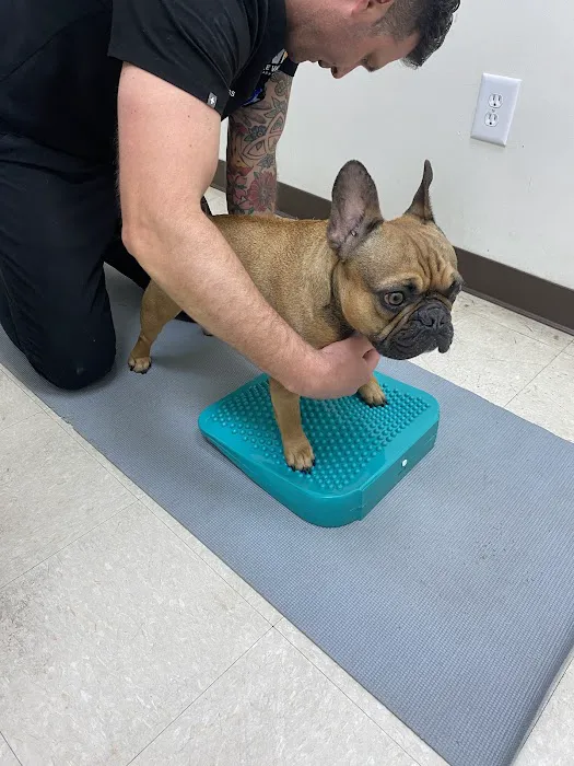 Irvine Valley Veterinary Hospital Picture 1