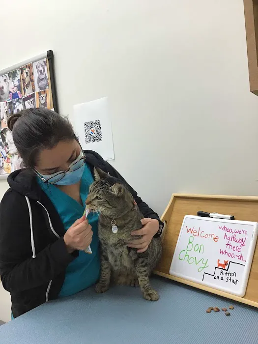 Irvine Valley Veterinary Hospital Picture 4