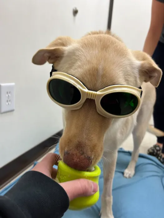 Irvine Valley Veterinary Hospital Picture 8