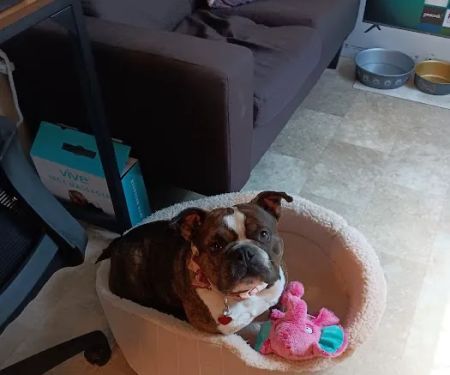 Banfield Pet Hospital