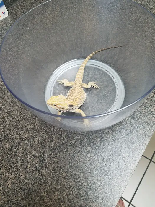 Banfield Pet Hospital Picture 7