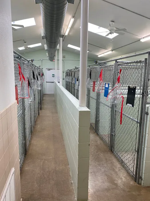 Tender Paws Animal Hospital Picture 5