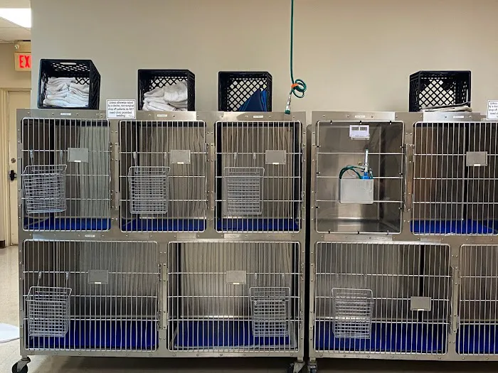Tender Paws Animal Hospital Picture 9